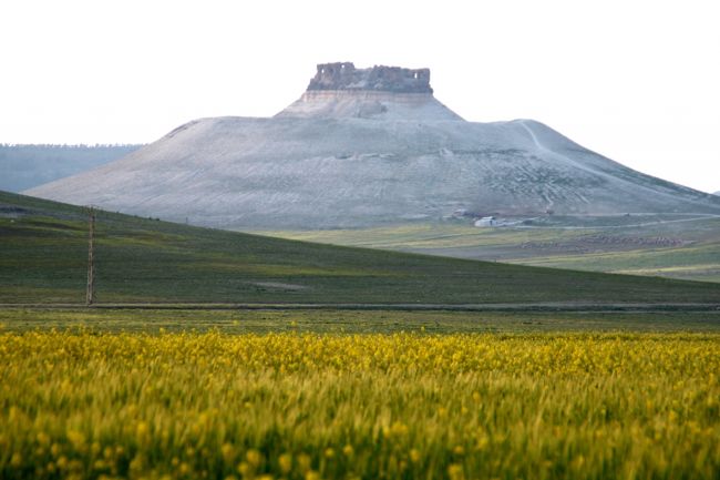 同じような情景を、何枚も何枚も撮りつづけました。