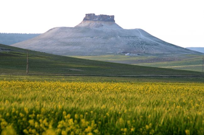 この数枚は、自分のためのアルバムです。
