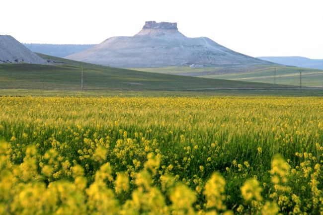 そのうちの一枚はPCの壁紙にして、今も楽しんでいます。