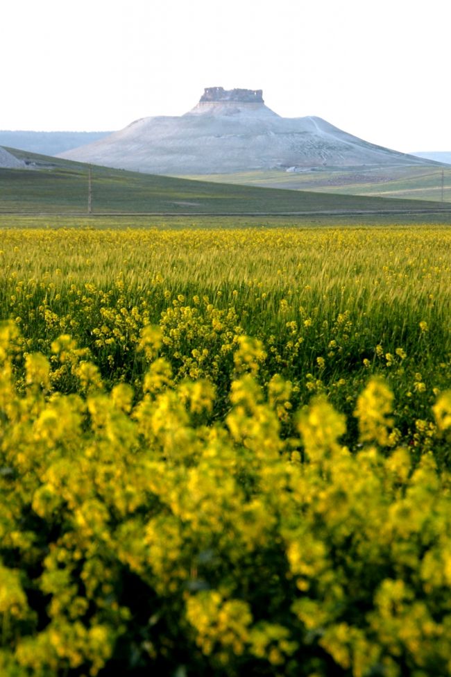 掲載はしませんでしたが、<br />城の国道側の側面には「WELLCOME」と大書きされていました。眼を覆いたくなる光景なので"見なかったこと"にしています。<br /><br />夜８時まえ、すっかり満足して宿に戻りました。<br /><br />そのあとは勿論、<br />冷えたビールに直行して一人で乾杯しました。