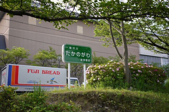 学生時代を過ごした下鴨を流れる高野川沿いの「ホテルアバンシェル京都（ホレディ・イン京都）」に宿をとりました。このホテルはペットホテルを併設しており、主人公の「Lucky」も同宿できる優れものです。（と、言っても到着から出発までは別行動ですが・・・）