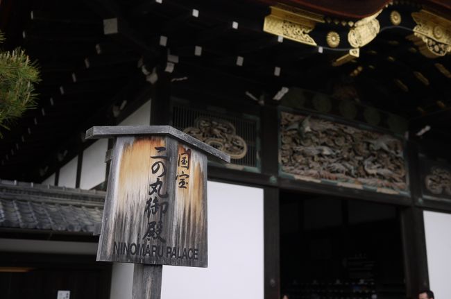 今回、初めて二条城を見学しました。<br />４年間京都には住んでいたのですが、意外と行っていない所がたくさんあります。<br />ここ二条城もその一つです。地下鉄を利用し、向かいました。