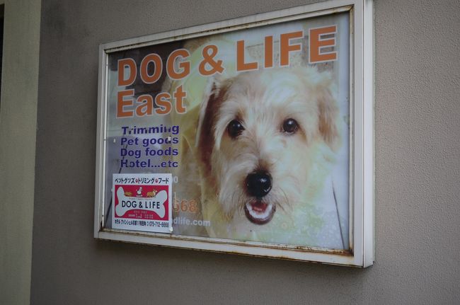 宿泊したホテル併設のペットホテルです。