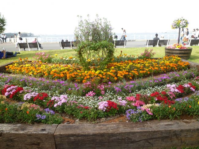 横浜 山下公園は花がいっぱい 中華街でお腹いっぱい 横浜 神奈川県 の旅行記 ブログ By くうさん フォートラベル