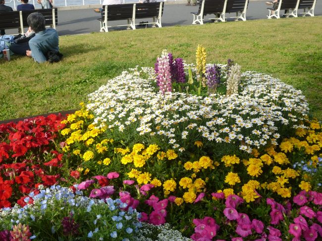 横浜 山下公園は花がいっぱい 中華街でお腹いっぱい 横浜 神奈川県 の旅行記 ブログ By くうさん フォートラベル 横浜 山下公園は花がいっぱい 中華街でお腹いっぱい 横浜 神奈川県 の旅行記 ブログ By くうさん フォートラベル