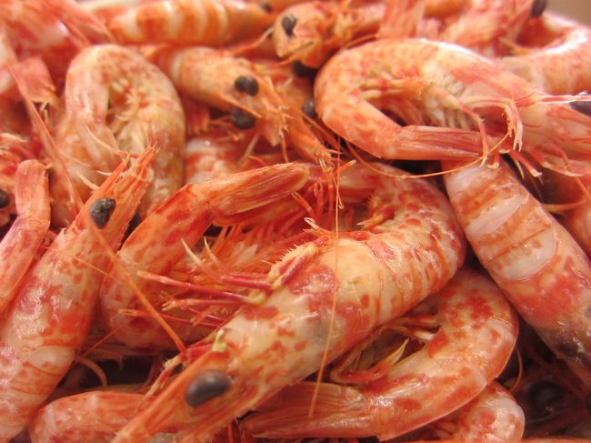 小さいエビの殻をむいて食べてましたが、面倒になり殻のままボリボリいっちゃいました。