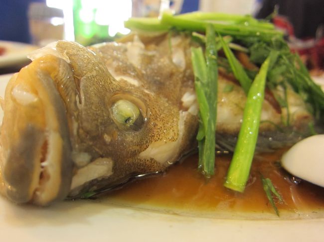 そんなに見んなよっ！と言われそうな勢い。