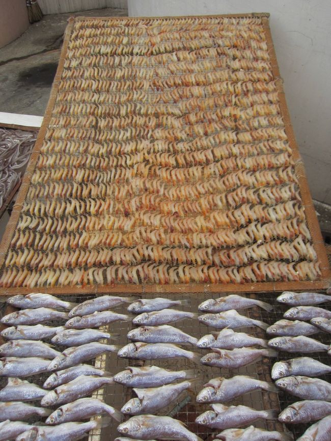 キレイに並べています。