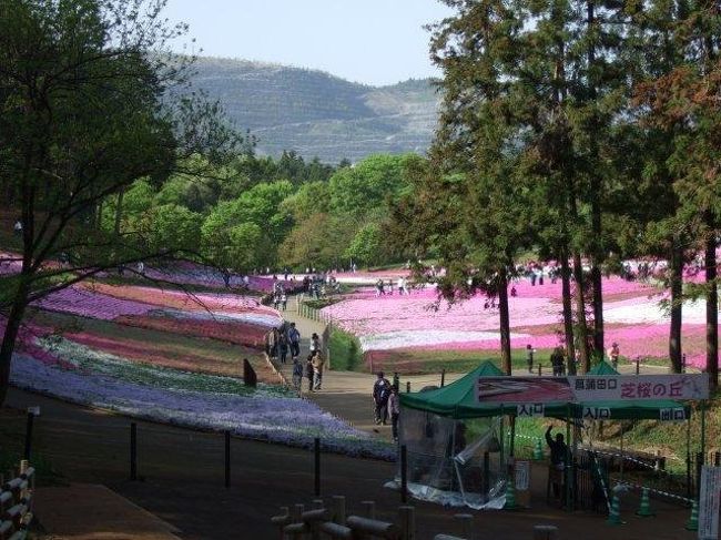 朝８時までに行かないと混雑がハンパないと聞いて、８時に着きました！<br />この時期は観光協会が臨時駐車場を出してるのでそちらの方へ止めました。<br /><br />駐車場　1日500円<br /><br />「昨日来なくてよかったよ〜。練馬からきたお客さんが8時間かかったって言ってたよ」って駐車場のおじさんが教えてくれました。