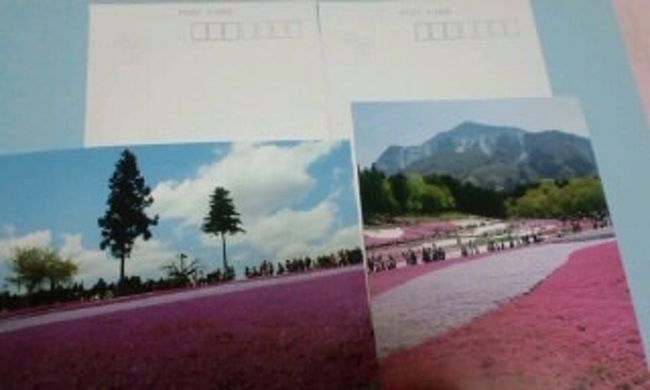 菖蒲田口から入場しました。<br />震災に伴い開催時期は入園料無料となってましたが、協力金100円（一口）のお願いはされます。<br /><br />協力金を支払うとポストカードをくれます。<br /><br />協力金の一部は東日本大震災の義援金になるそうです。