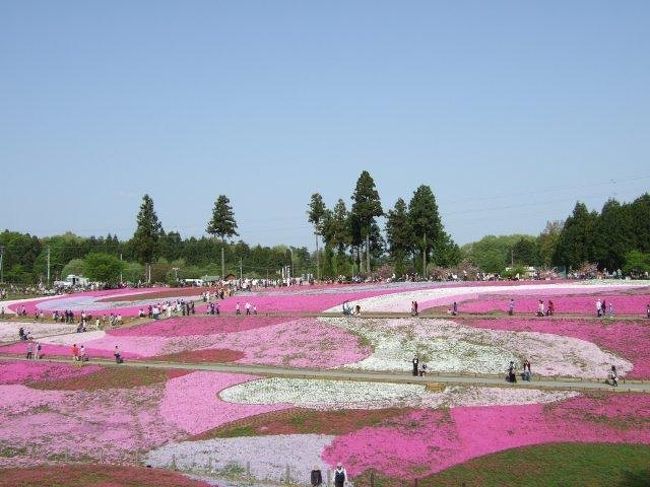 アクセス<br />鉄道<br />・西武鉄道横瀬駅から徒歩約1.4km、西武秩父駅から徒歩約1.5km<br />・秩父鉄道御花畑駅（芝桜駅）から徒歩約1.5km<br /><br />車<br />関越自動車道花園ICから国道140号、皆野寄居バイパス利用約25km<br />圏央道狭山日高ICから国道299号を約39km<br /><br />
