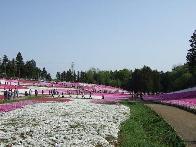 宇根口あたりから撮ったもの