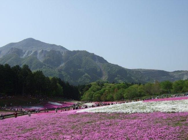 この辺りにセルフタイマー用の台が置いてあります。<br />芝桜と山が映ってベストショットなのでしょう。<br /><br />が、「パシャ」とシャッターが下りた時は景色が人だらけになってるかも（笑）<br />（私はセルフタイマーは使用しませんでしたが、他の方を見てるとタイミングがよくないと、上手く撮れない感じがしてたので・・・）