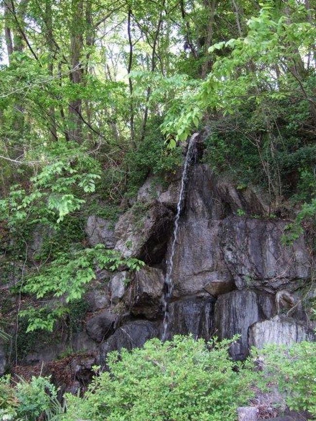 えっ！？<br />まっ、まさかこれが滝！？