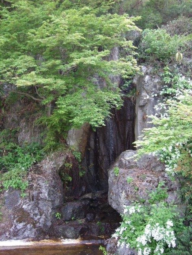 そんなに期待してなかったけど、小さかったです・・・