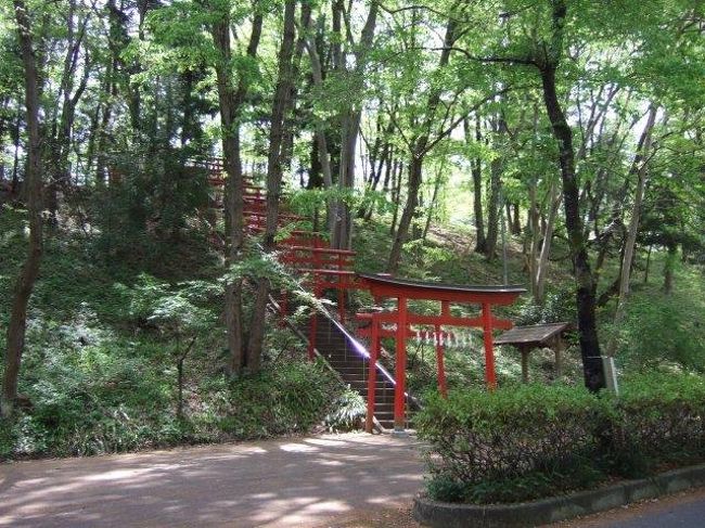 鳥居がたくさん