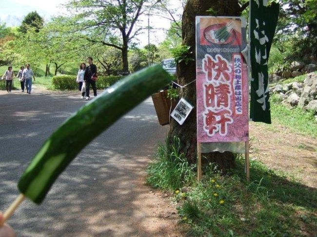 きゅうりの浅漬けを買ってみました。<br /><br />100円。<br /><br />菖蒲田口の方で売っていたのは150円だったので、安いお店で買えてよかった。