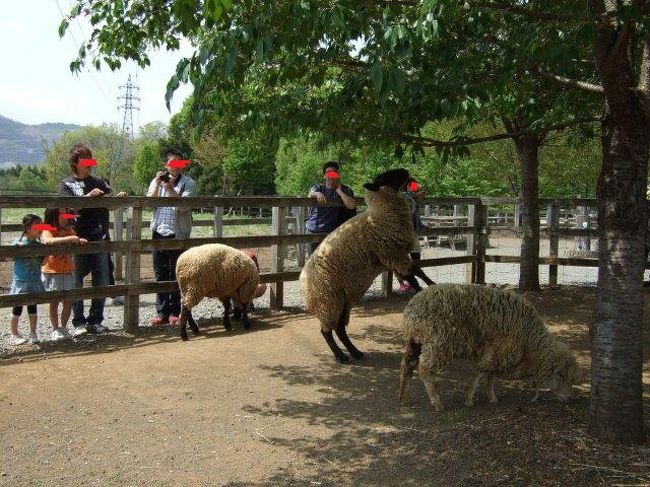 えぃ！<br /><br />おしい！<br /><br />葉っぱに届かなくて残念。