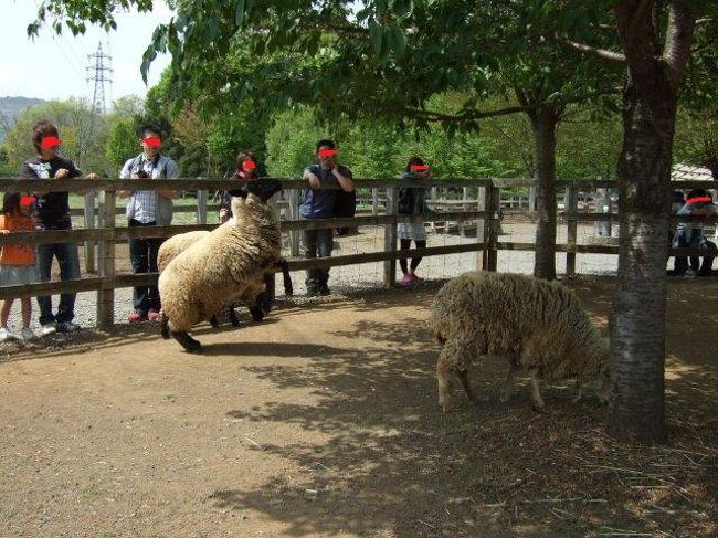 でも、あきらめない！<br /><br />ちょっと勢いつけて〜