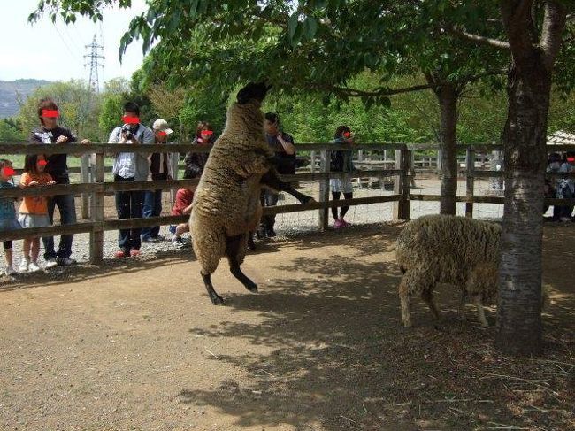 えぃ！<br /><br />二本足の羊が見れるとは思いませんでした（笑）
