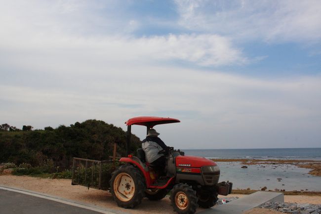 シーズンオフの夕方ともあり人の気配はなし。<br />そこにあるのは、島の日常。<br />燃える男のお〜あか〜いトラクター♪に<br />座っているおじいは何をするでもなくただただ海を<br />眺めていた。