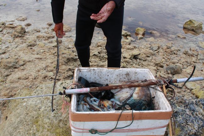 そこに、海からあがってきたおじい登場。<br />収穫を見せてもらうと沢山のタコ。<br />80歳は過ぎていると思われるおじいは<br />素潜りで、タコをつくらしい。<br />