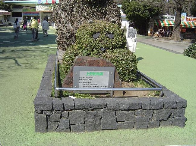 上野動物園<br />３月１２日イベント会場に向かい、その時に全てが中止になったことを知らされました。この日は１日、ホテルで震災の様子を新聞・テレビ等で見ることが出来ました。<br />３月１３日ホテルばかりにいてもどうかと思い、動物園に行くことにしました。