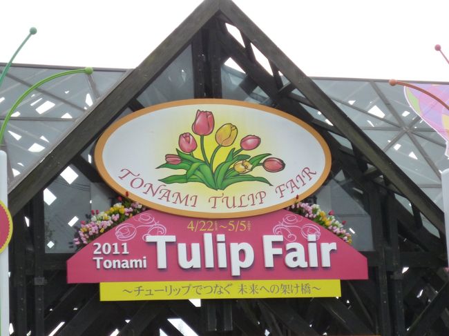 天気予報は、雨でした。いつ降り出してもおかしくない天気に、「え〜つ」と言いながらのおつきあいでしたがチューリップに癒されたました。<br />