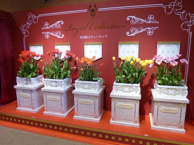 チューリップ四季彩館ではいろいろなテーマで展示されています。