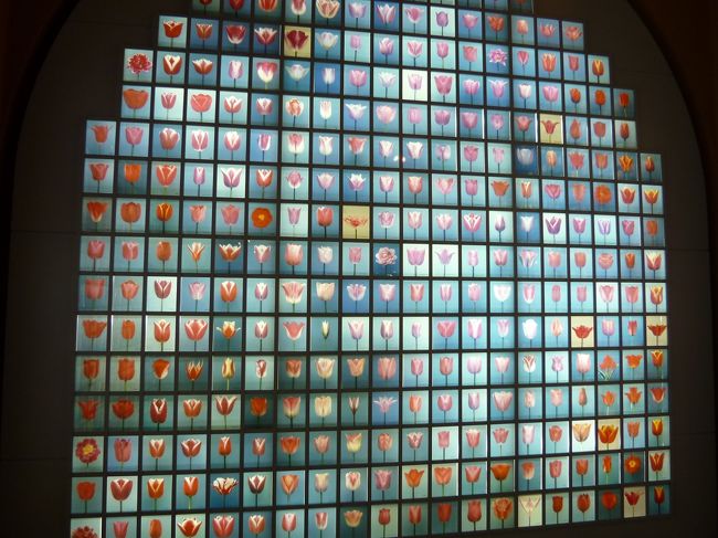 チューリップの種類も多い