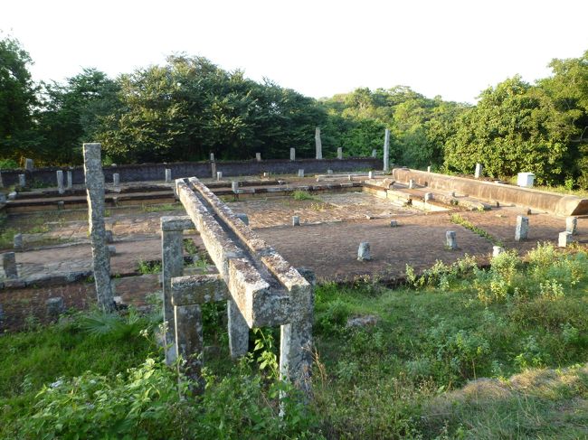 全体がきれいに見える所から、