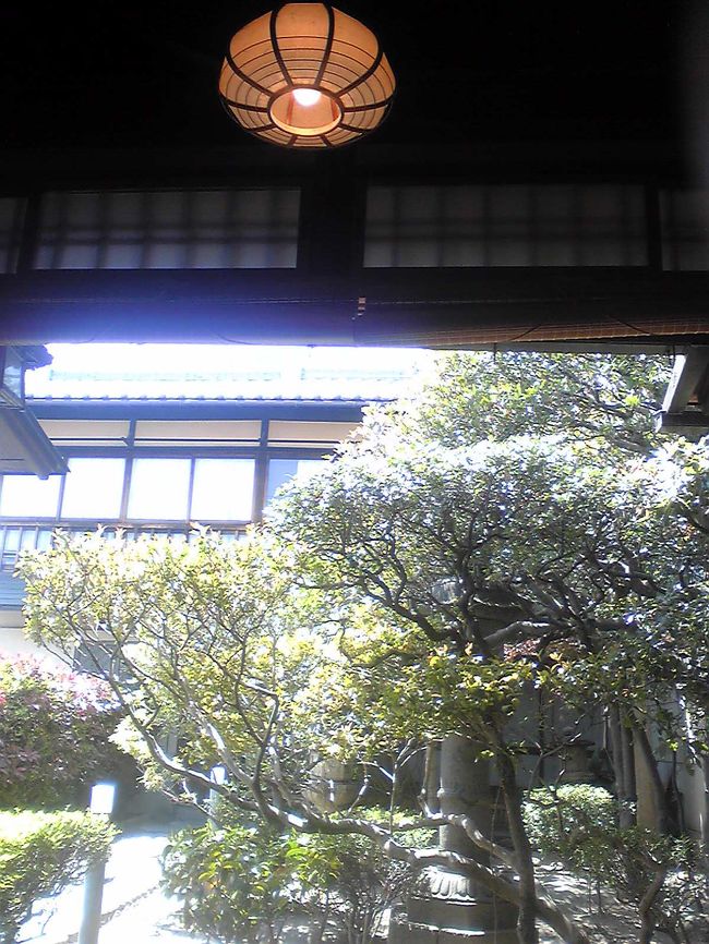 田舎のおばあちゃんちに来ているような感覚。<br /><br />食べた後、ゴロンと昼寝をしたくなりました。