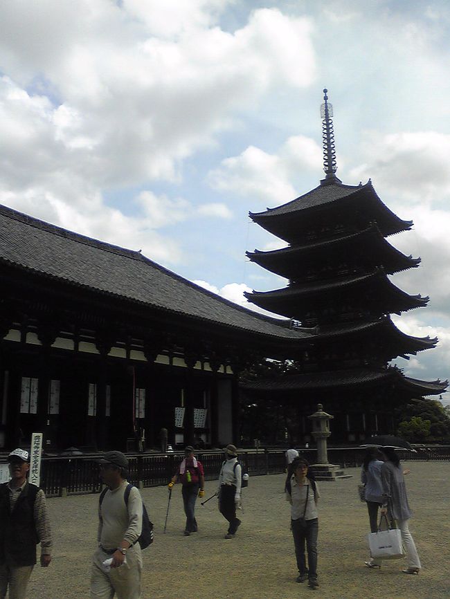 昼食後、興福寺へ。<br /><br />日本国内にも世界遺産はたくさん。<br />もちろん、ここの寺もその１つです。<br /><br />８００円を支払って、東金堂と国宝館へ。<br />東金堂には日本史の教科書に載っている日光月光菩薩像が、<br />国宝館では阿修羅像や金剛力士像などを見ることができました。<br /><br />阿修羅像は時と場合によっては他の博物館へ行っていることもあるらしいです。<br /><br />行きあたりばったりで行ったけれど、<br />これらの仏像を見ることができて感激。<br />