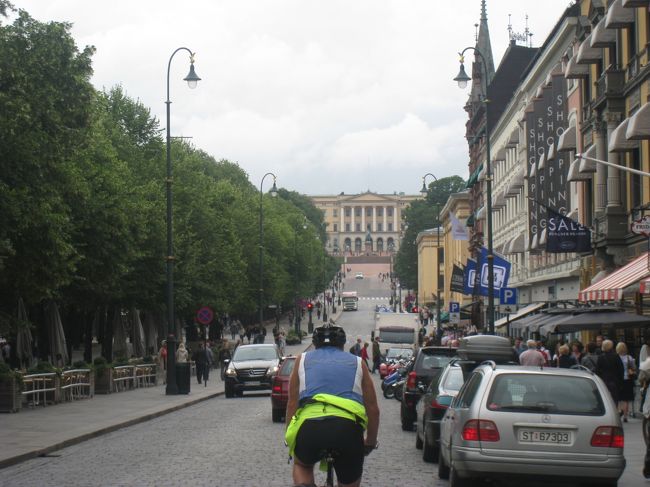 一番遠くにみえるのが『王宮』。