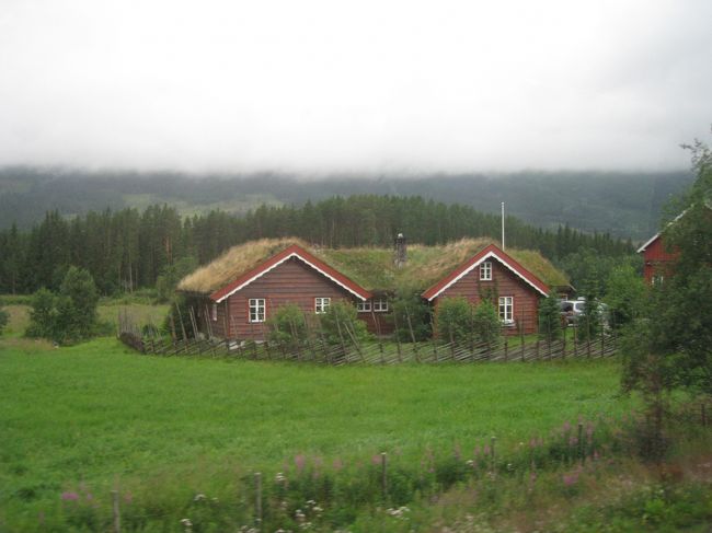 屋根の上に注目！<br />屋根に草の生えている家が結構ありました。