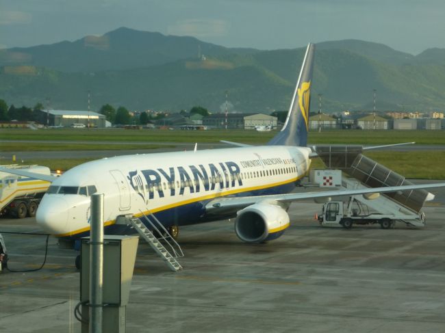 ライアン大丈夫かしら･･･。<br />落ちたらどうーしよ？（ガタガタブルブル）