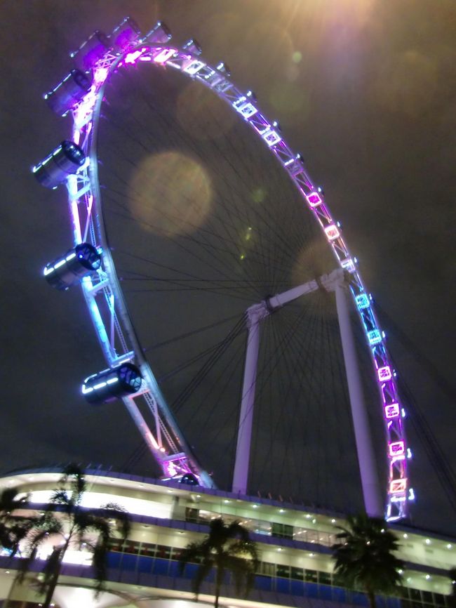 ホテルに戻ろうとしたところ、今朝行ったシンガポール・フライヤーが美しく輝いて見えたので、近くまで再び。<br /><br />夜は「乗る」よりも「見る」がオススメ、かな。