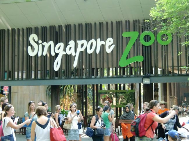 2011/5/5 Thu.<br /><br />朝からタクシーでシンガポール動物園へ。（約30分、20ドル強）<br /><br />檻や柵がないオープンシステムの動物園。熱帯の植物や水路を上手く使って、まるで熱帯のジャングルの中にいるような感覚で過ごせます。
