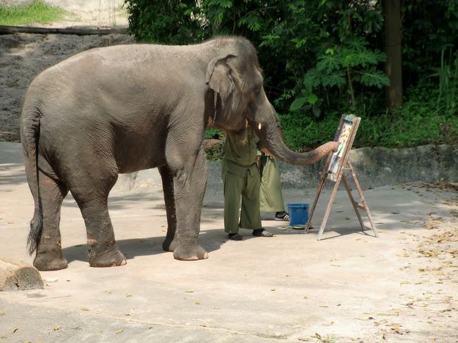 画伯、今日の絵の出来はいかがですか？