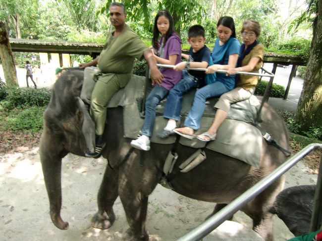 先程、ショーを披露してくれたゾウさんに乗ることもできます。<br />（別途8ドル）