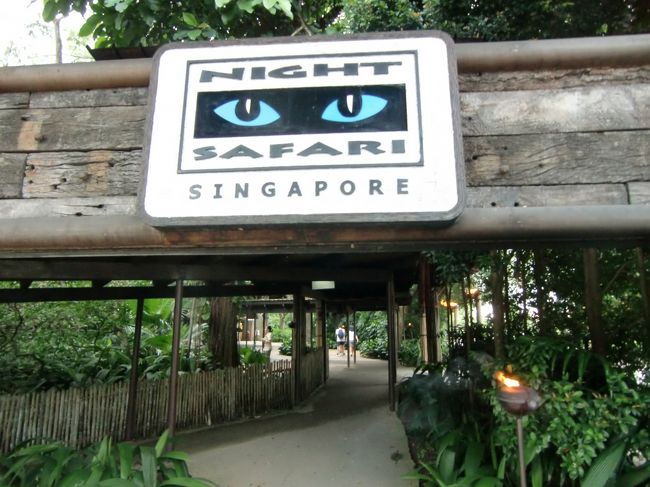 楽しみはまだ続きます。お隣のナイトサファリへ。<br />動物たちの夜の生態を観察できます。
