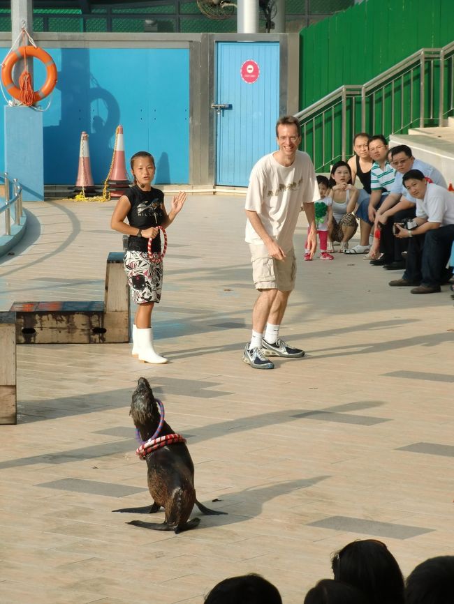 オットセイくんのショーです。<br />コミカルな動きで、観客の笑いを誘っていました。<br /><br />お客さんが投げたリングを、ナイスキャッチ！！