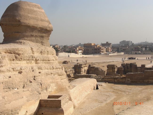 あんまり見ないよね、スフィンクスの後姿。<br /><br />視線の先には、ピザハット。<br />ピザが食べたいのかな〜☆