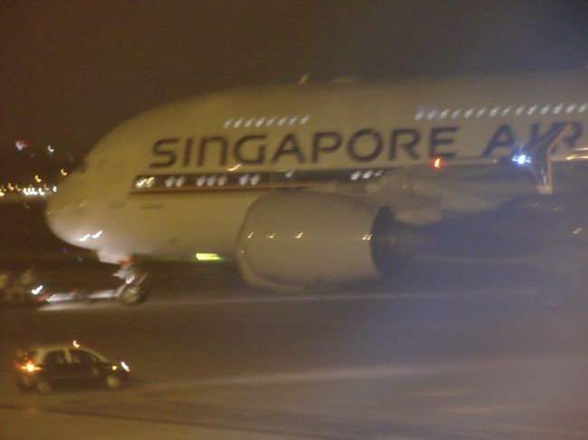 これで観光は全て終了。<br />ホテルに戻り、預けておいたスーツケースを受け取り、スパのシャワーを借りて、さっぱり＆着替えてタクシーで空港へ。<br /><br />2011/5/8 Sun.<br /><br />チャンギ国際空港から関空へ。<br />（SQ618 SIN 1:20 - KIX 8:50）<br /><br /><br />写真は隣のゲートから出発する、二階建てのA380。