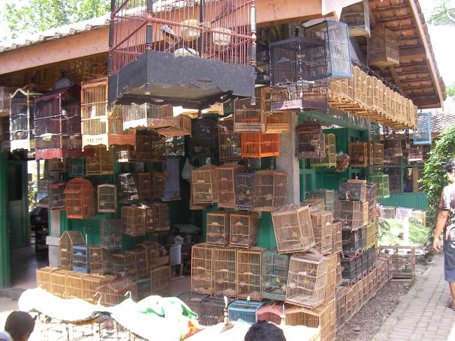 地元の取り市場<br />（SATYサティーって言うと連れて行ってもらえる）<br /><br />いろんな鳥、鶏からフクロウまで<br />又、コウモリやトカゲも売っている。　