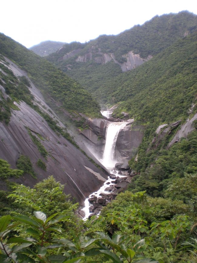 梅雨の鹿児島・屋久島旅行