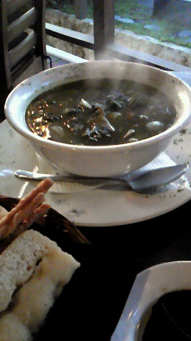 <br />　　　<br />　　スープ。これも野菜たっぷりでヘルシー。<br /><br /><br />　　顔が入るかと思うほどの大きな器にたっぷり。<br /><br /><br />　　満腹になったので、申し訳なかったが、３分の一<br /><br /><br />　　残しました。<br /><br /><br /><br /><br />　　ここでバッテリー切れ。<br /><br /><br />　　チェックアウトは２２時なのでゆっく帰り支度。<br /><br /><br /><br />　　今回の総括<br /><br /><br />　　Ｍさんには大変お世話になり、有意義で意味のある<br /><br /><br />　　旅になりました。バリ在住の人達にも会えて私なりに<br /><br /><br />　　得たものが沢山あります。Ｍさん有難うございました。<br /><br /><br /><br /><br /><br />　　フォーシーズンズは期待を裏切らない。　　