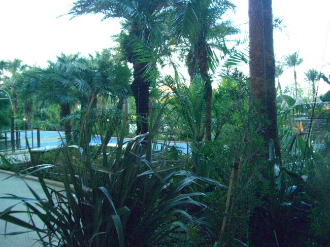 1Fからの眺めです・・<br /><br />何とも・・残念な・・<br />