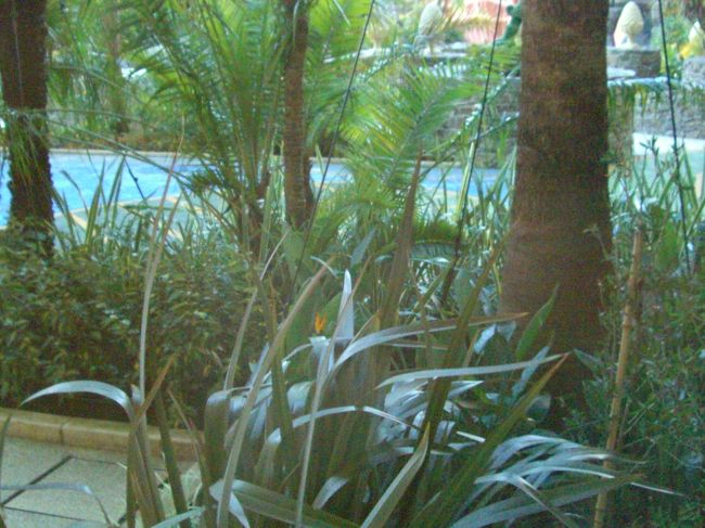 う〜ん・・・<br /><br />何とコメントしたらよいのやら・・・<br /><br />残念・・(ToT)/~~~