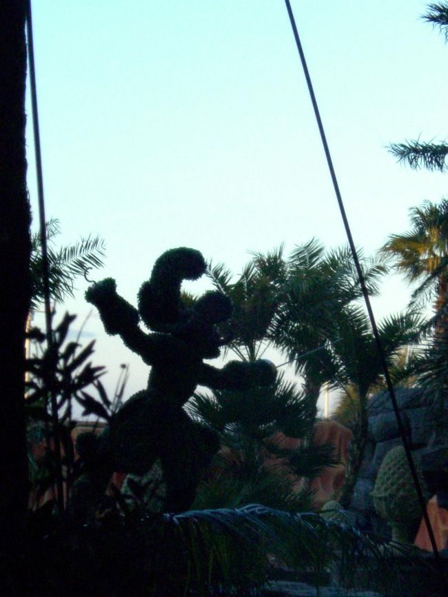 でも・・<br /><br />見つけました。フック船長